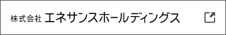 株式会社エネサンスホールディングス